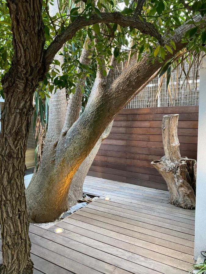 Le Jardin Cache Apartment Sanary-sur-Mer Exterior photo